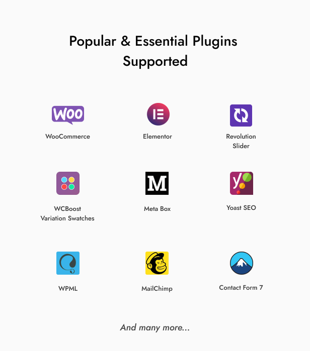 Razzi - Chủ đề WordPress WooCommerce đa năng - 30