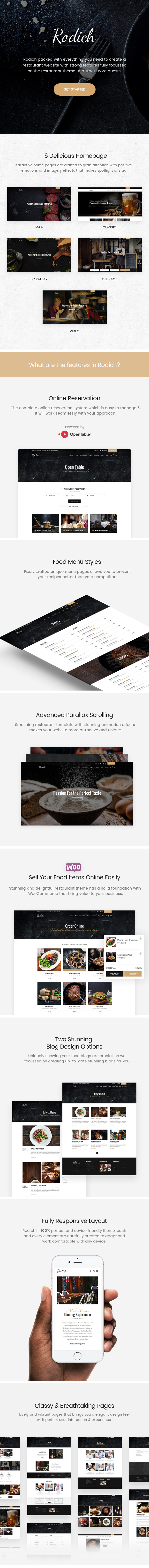 Các tính năng của chủ đề Rodich