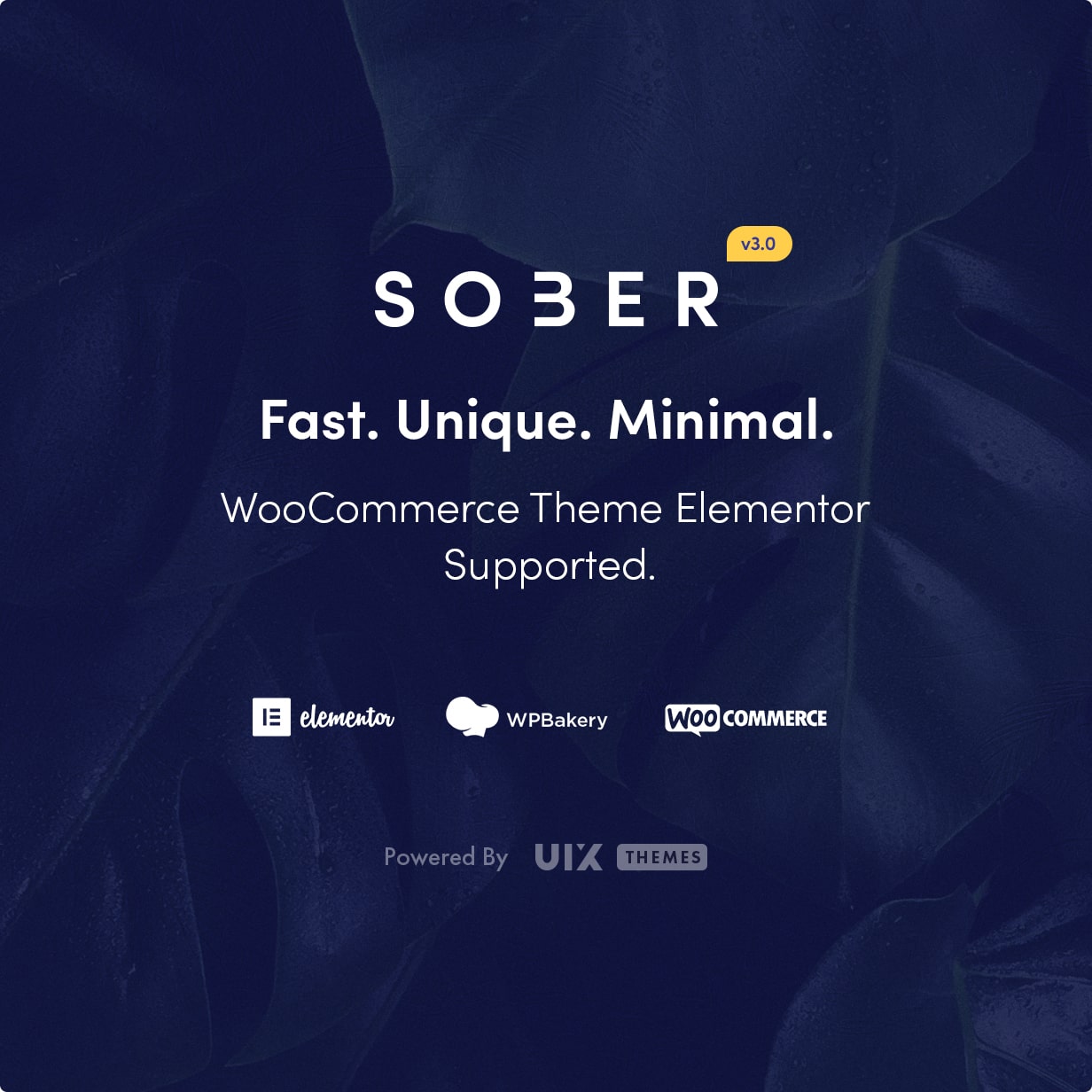 Chủ đề WordPress Sober WooCommerce