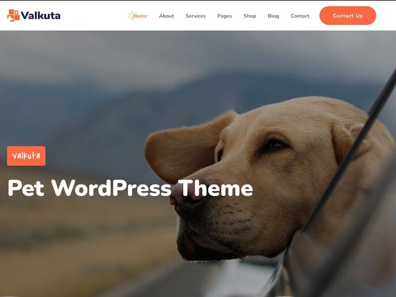 Valkuta - Pet WordPress Theme