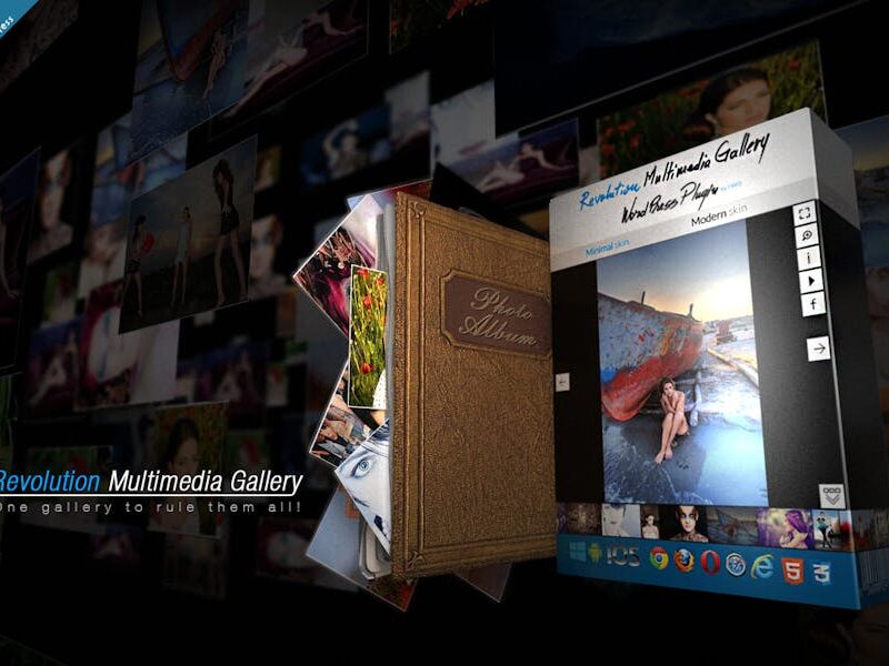 Revolution Multimedia Gallery Wordpress Plugin