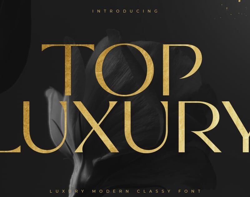 Top Luxury - Luxury Modern Classy Font