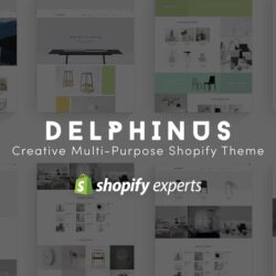 Delphinus | Creative Multi-Purpose Shopify Theme