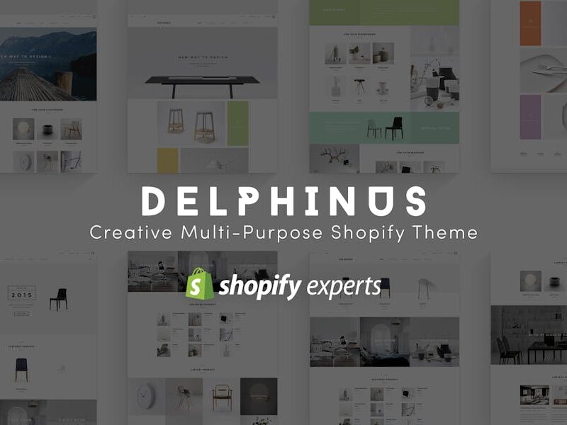 Delphinus | Creative Multi-Purpose Shopify Theme