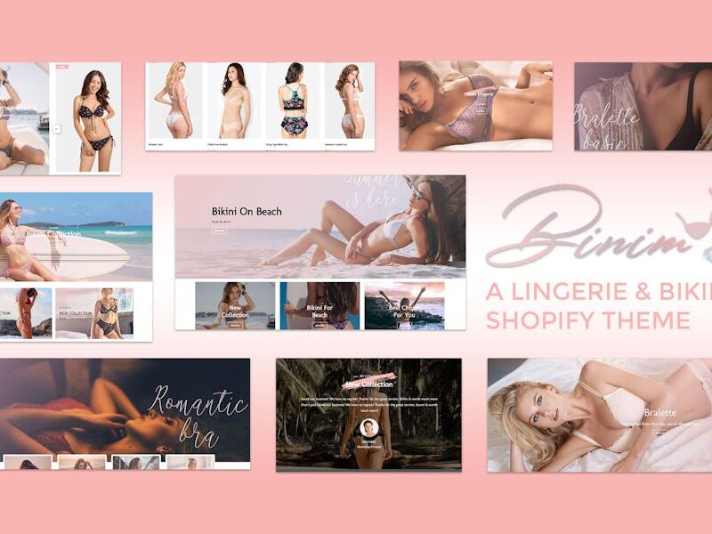 Binim - Lingerie & Bikini Responsive Shopify