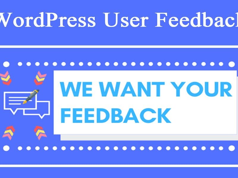 WordPress User Feedback