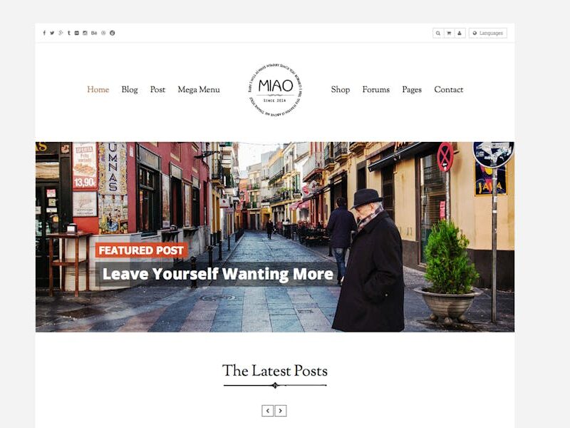 Miao - Clean Blog & Shop WordPress Theme