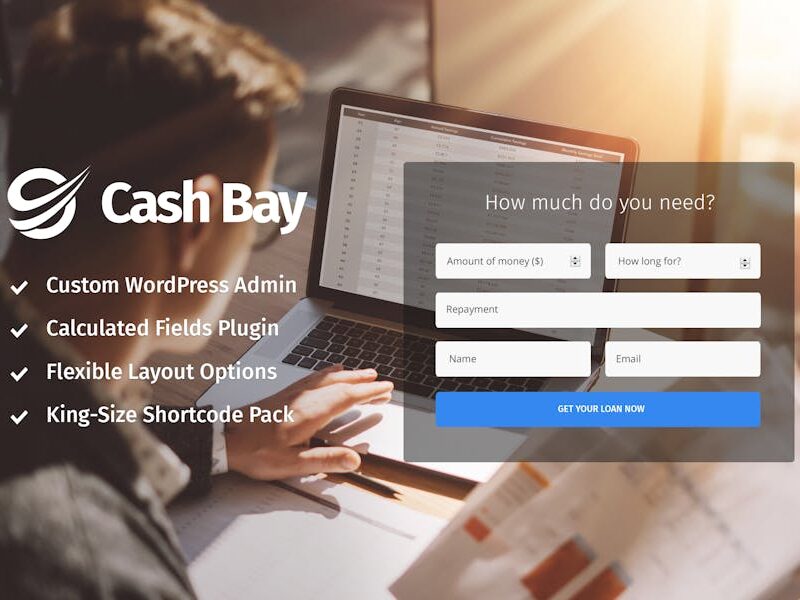 Cash Bay - Loan & Credit Money WP Theme