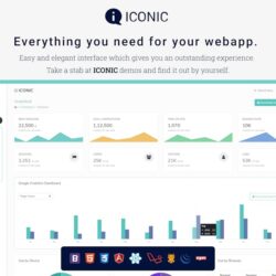 Iconic  Admin Dashboard Template