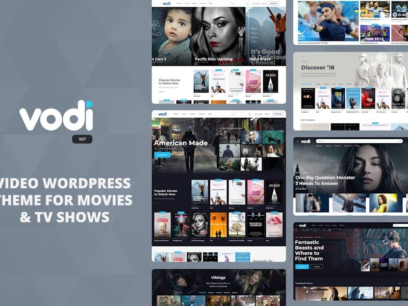 Vodi - Video WordPress Theme for Movies & TV Shows