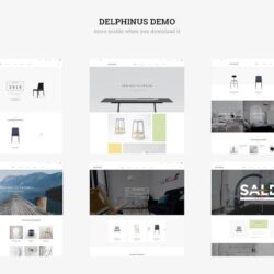 Delphinus – Creative Multi-Purpose Magento Theme