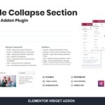 Toggle Collapse Section Elementor Addon Toggle Collapse Section Elementor Addon