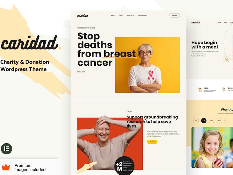 Caridad - Charity and Donations Elementor Pro