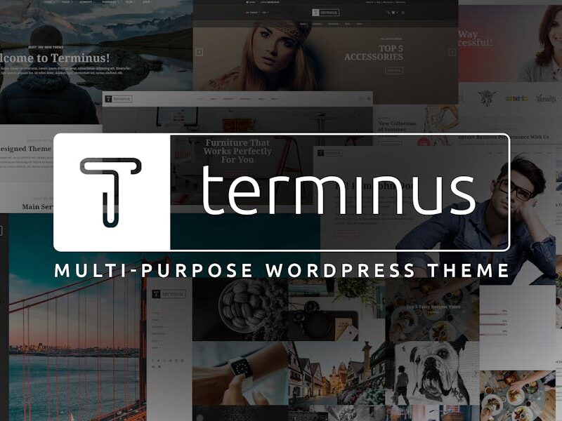 Terminus - Multi-Purpose WordPress Theme