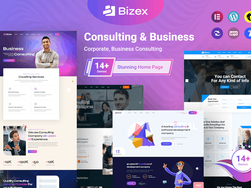 Bizex - Business Consulting WordPress Theme