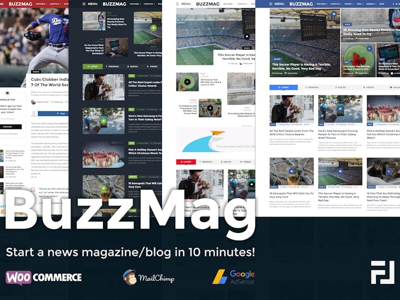 BuzzMag - Viral News WordPress Magazine/Blog Theme