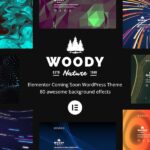 Woody – Theme WordPress sắp ra mắt của Elementor