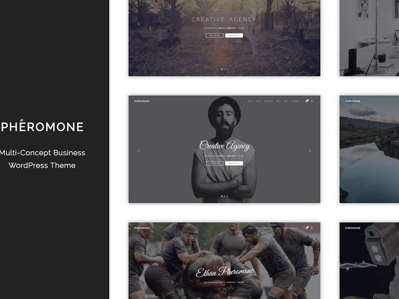 Pheromone - Creative Multi-Concept WordPress Theme