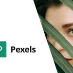 Pexels – Import Free Stock Images into WordPress Pexels – Import Free Stock Images into WordPress