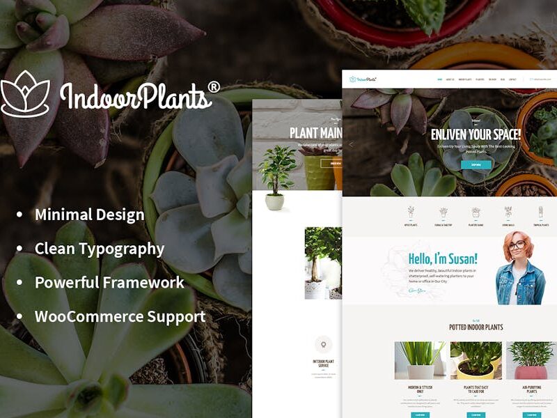 Indoor Plants | Houseplants store & Gardening WP
