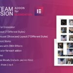 Teamvision for Elementor WordPress Plugin Teamvision for Elementor WordPress Plugin