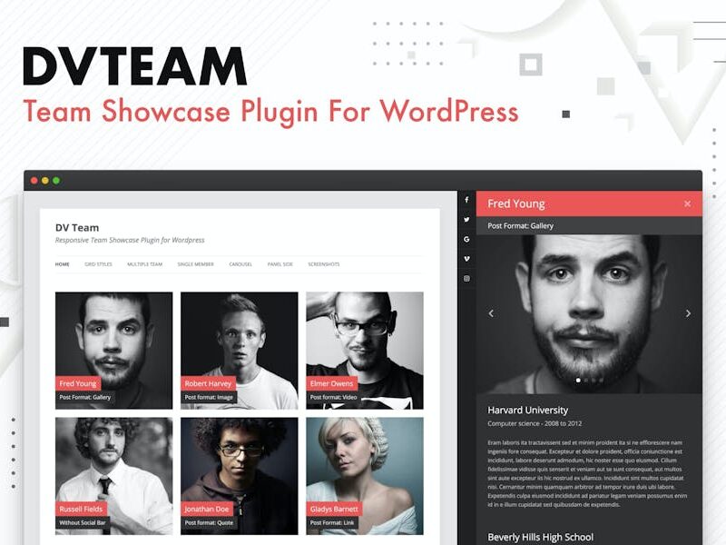 DV Team - Team Showcase Plugin For WordPress