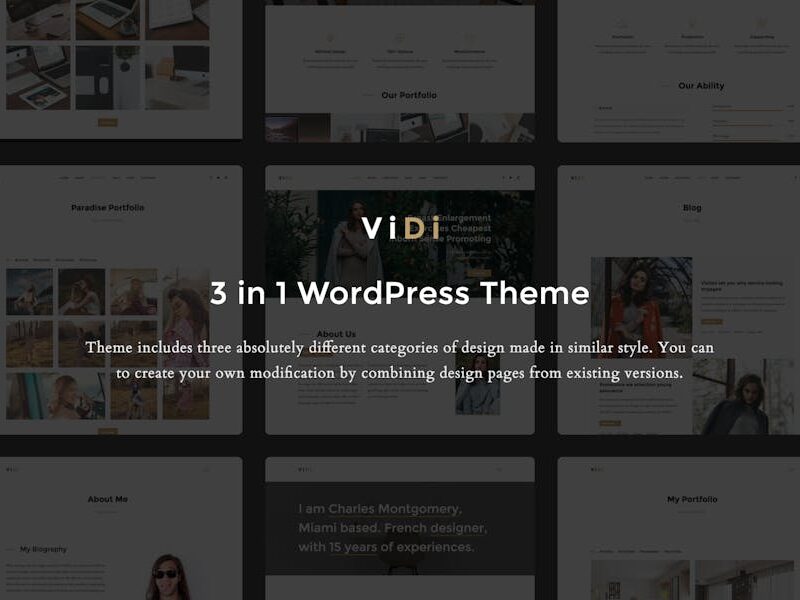 ViDi - 3 in 1 Creative WordPress Theme
