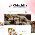 Chinchilla Chinchilla