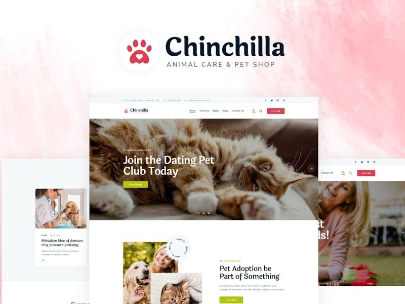 Chinchilla