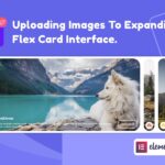 Wiloke Expanding Flex Cards Elementor Addon Wiloke Expanding Flex Cards Elementor Addon