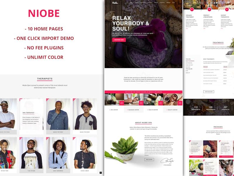 Niobe - Spa & Salon WordPress Theme