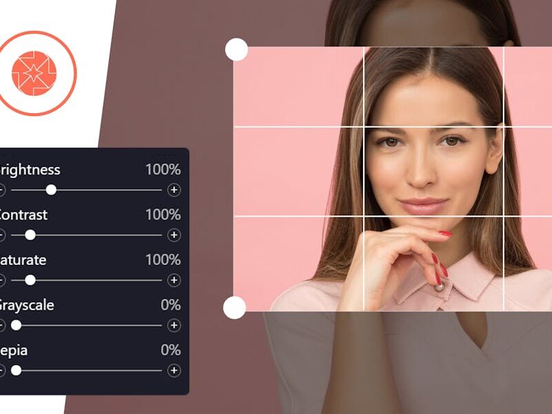 ProVision Image Editor for WordPress / WooCommerce