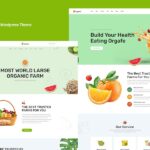 Orgafe – Organic Food WordPress Theme Orgafe – Organic Food WordPress Theme