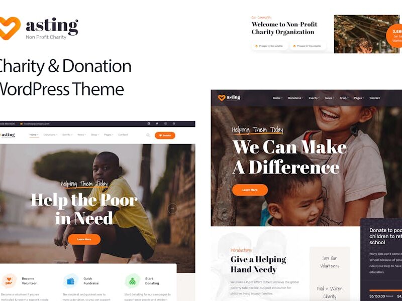 Charity & Donation WordPress Theme - Asting