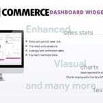 WooCommerce Dashboard Widgets Stats