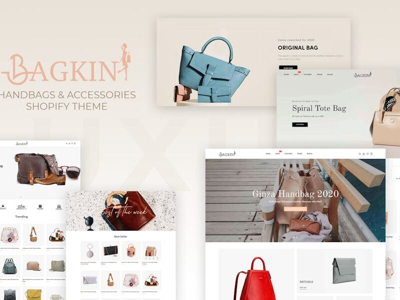 Bagkin- Handbags & Shopping Clothes Shopify Theme