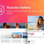 WordPress YouTube Gallery Plugin WordPress YouTube Gallery Plugin