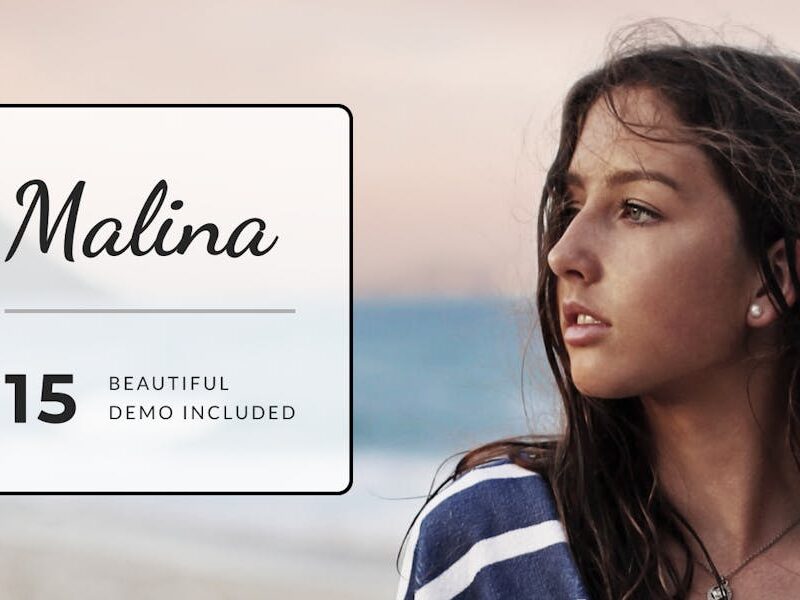 Malina - Personal WordPress Blog Theme