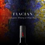 Tracian – Wine WordPress Theme Tracian – Wine WordPress Theme