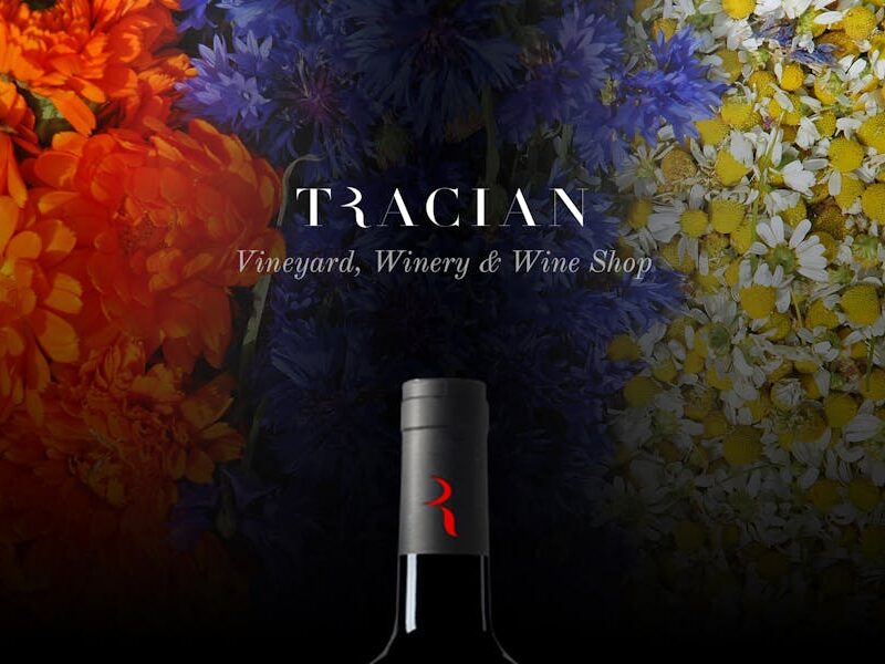 Tracian - Wine WordPress Theme