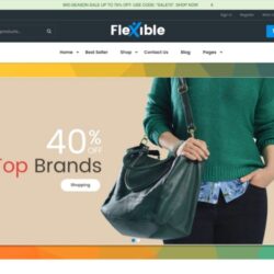 Flexible – Multi-Store Section Shopify Theme Flexible – Multi-Store Section Shopify Theme