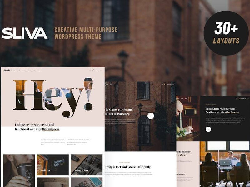 Sliva - Responsive Multi-Purpose Theme