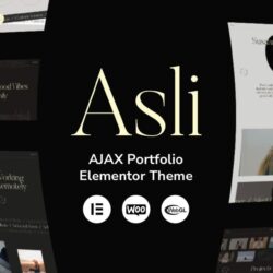 Asli – AJAX Portfolio Elementor WordPress Theme Asli – AJAX Portfolio Elementor WordPress Theme