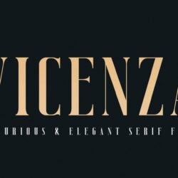 Vicenza – Elegant Serif