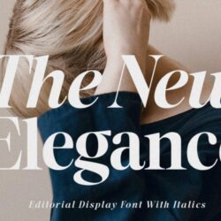 The New Elegance Serif