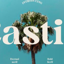 Castio – Bold Font Castio – Bold Font
