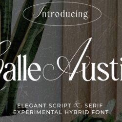 Calle Austin – Experimental Font