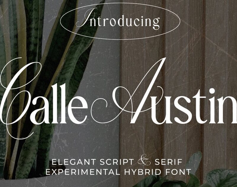 Calle Austin - Experimental Font