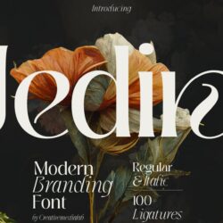 Jedira – Modern Branding Logo font Jedira – Modern Branding Logo font