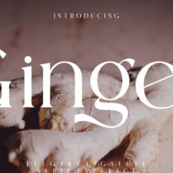 Ginger Elegant Ligature Serif Typeface Ginger Elegant Ligature Serif Typeface